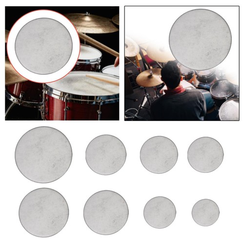Drum head durable replacement - head,